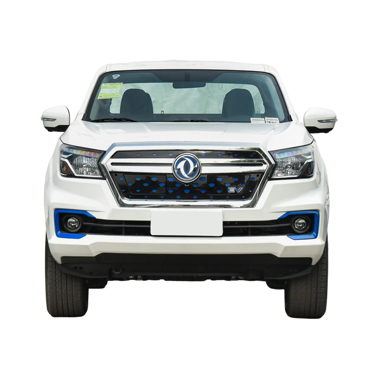 Dongfeng Rich6 EV 4X2 Double Cab Pickup